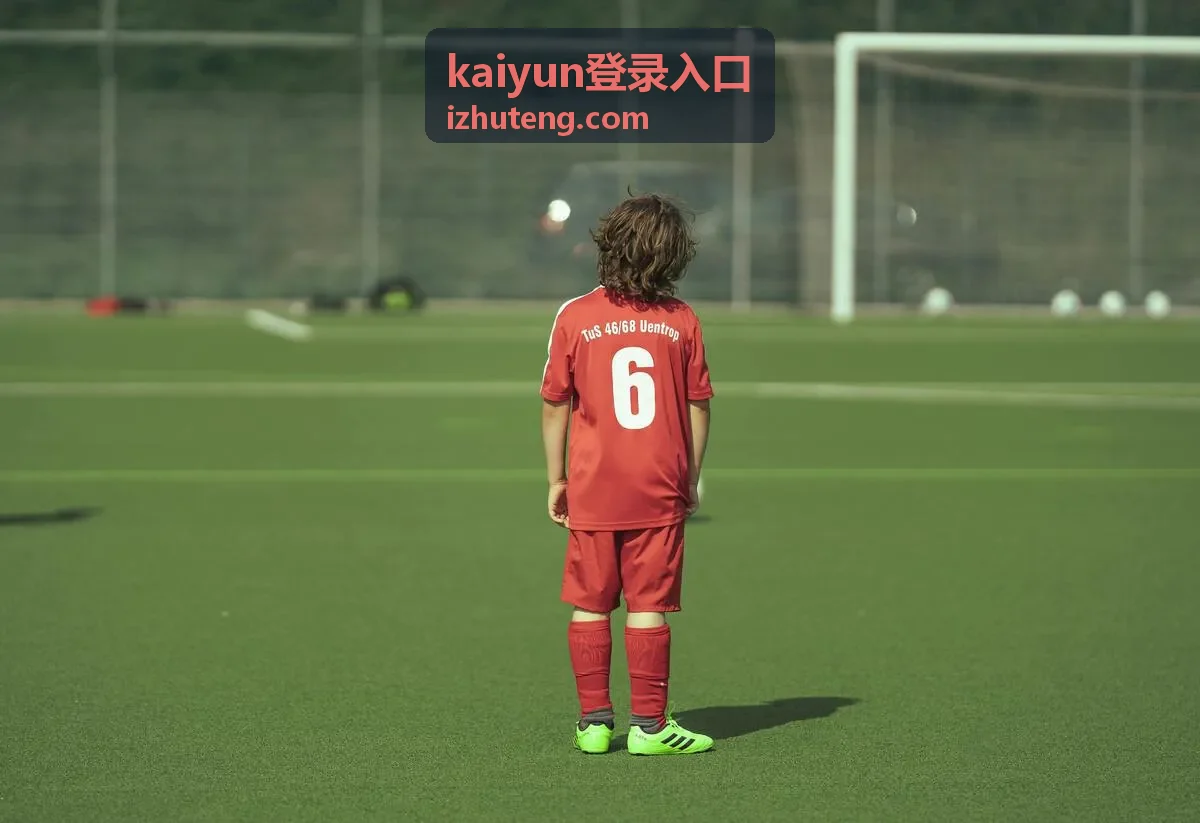 kaiyun登录入口登录记录查看示意